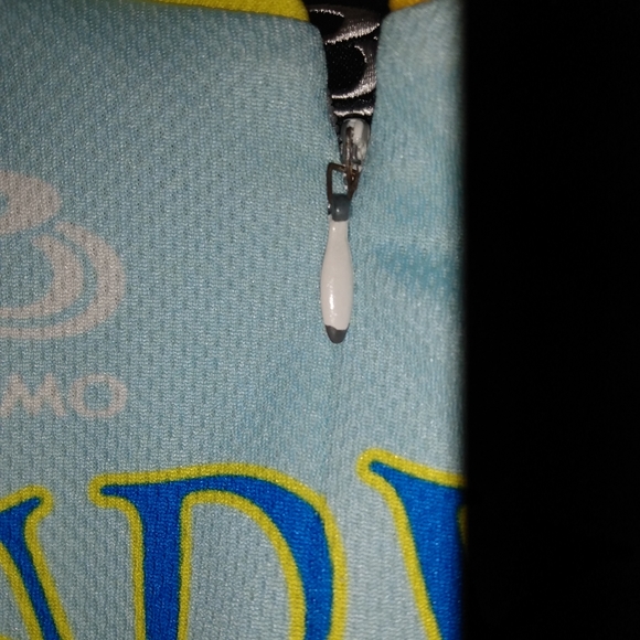 vintage Brandywine Bicycle Club men's Cycling Jersey size Large - Picture 3 of 9